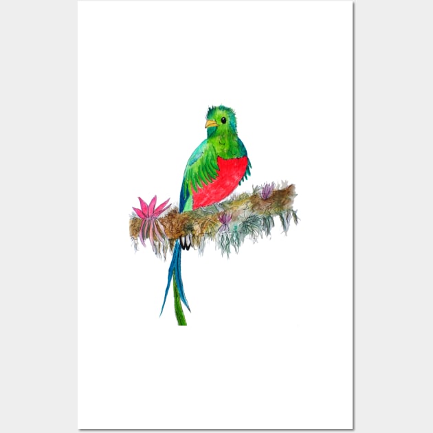 Quetzal Watercolor Wall Art by julyperson